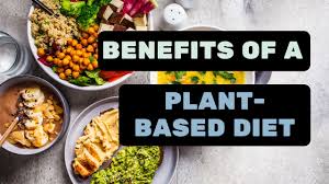 Plant-Based Diet