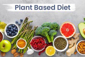 Plant-Based Diet