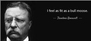 Physical Fitness: Theodore Roosevelt
