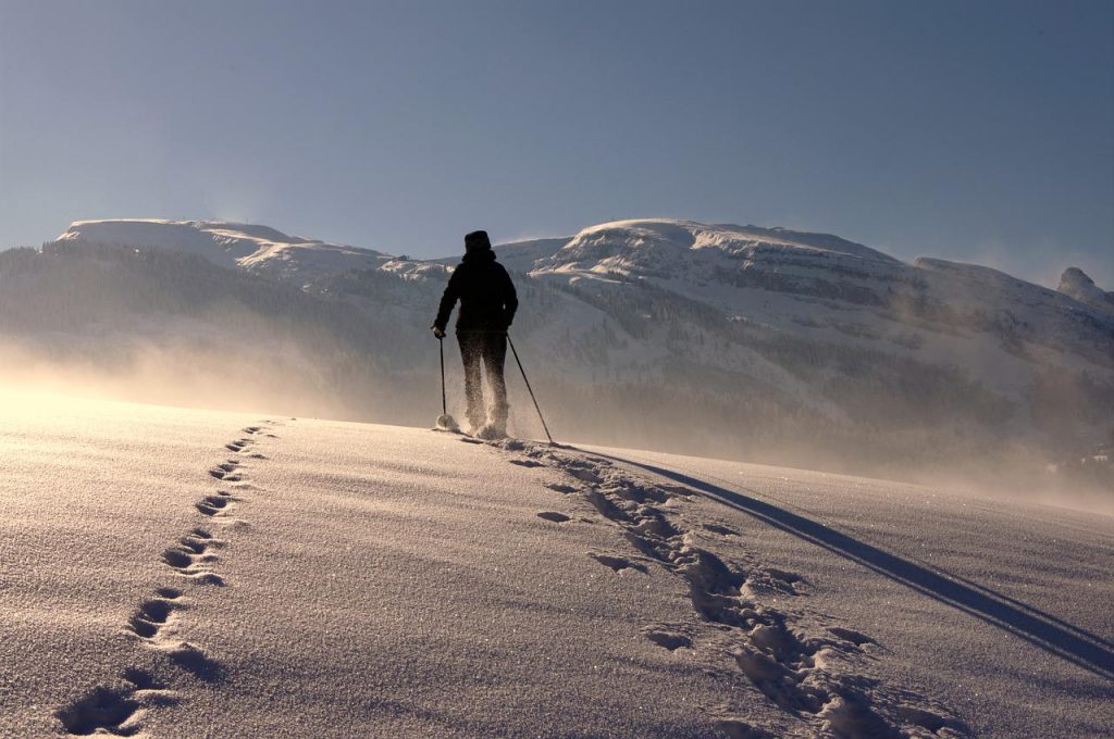 human, snow, trekking poles-5815851.jpg