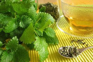 Lemon Balm Tea